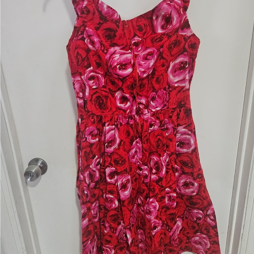 Retrolicious Red and Pink Floral Mini Dress